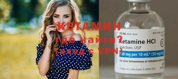 твердый Пересвет