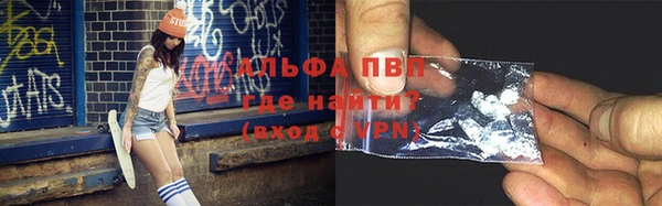 твердый Пересвет