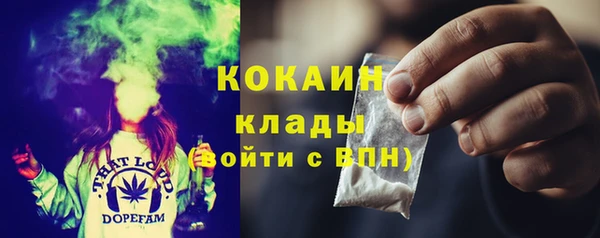 твердый Пересвет
