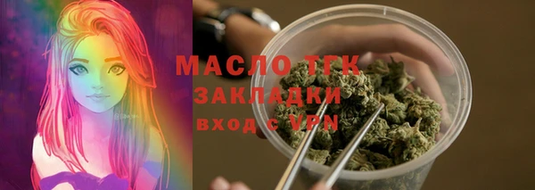 твердый Пересвет