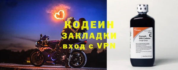 твердый Пересвет