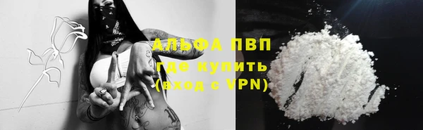 твердый Пересвет