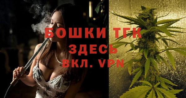 твердый Пересвет