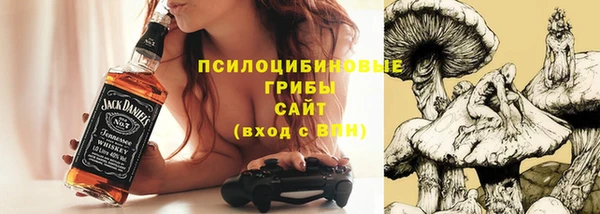твердый Пересвет