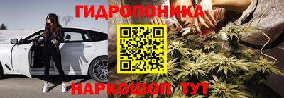 дживик Берёзовский