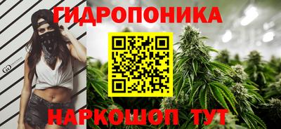 ГАЛЛЮЦИНОГЕННЫЕ ГРИБЫ Балахна