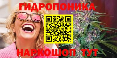 ГАЛЛЮЦИНОГЕННЫЕ ГРИБЫ Балахна