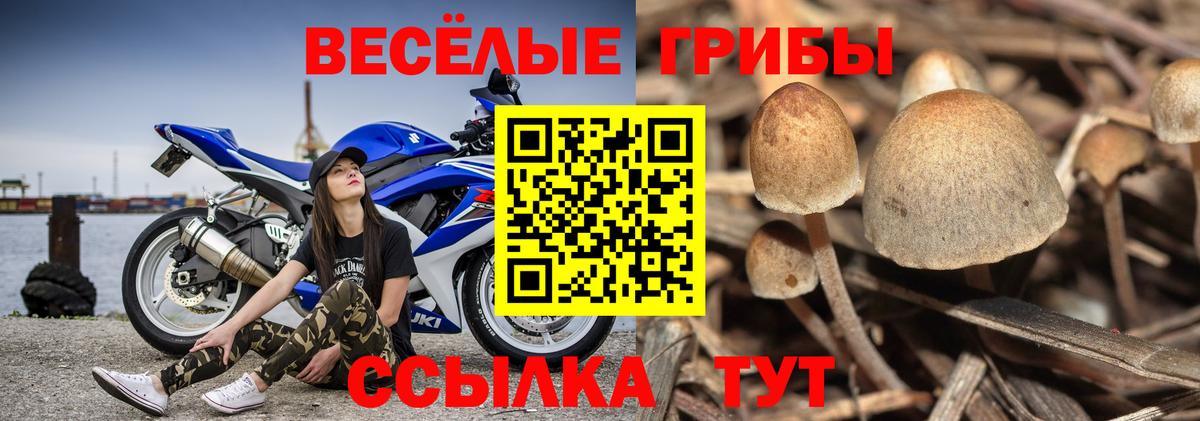 Псилоцибиновые грибы ЛСД Рославль