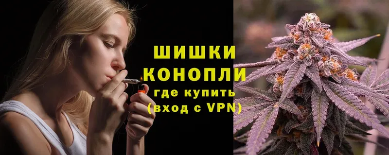 как найти   Рославль  Конопля White Widow 